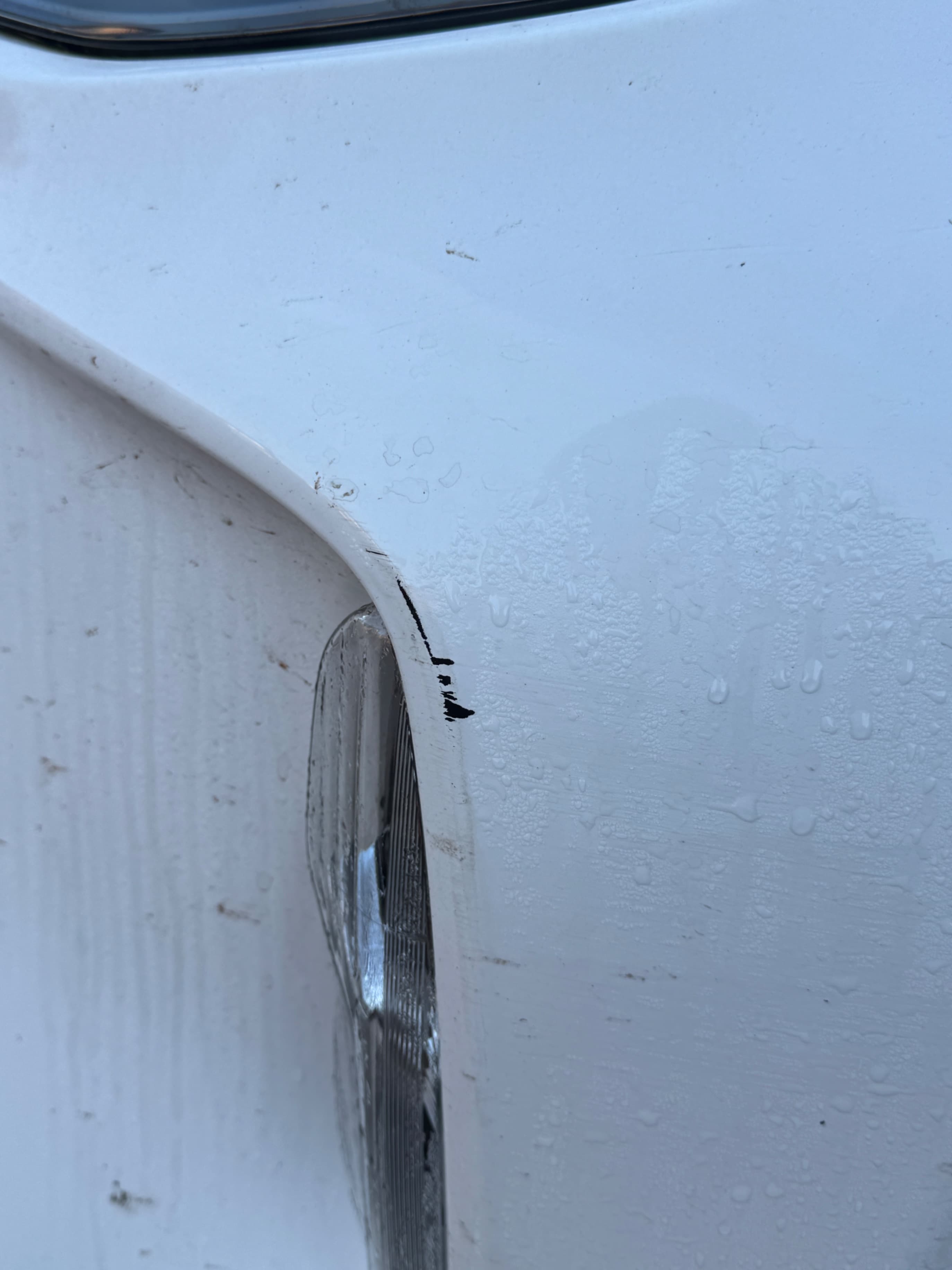 Minor Bumper Scuffs